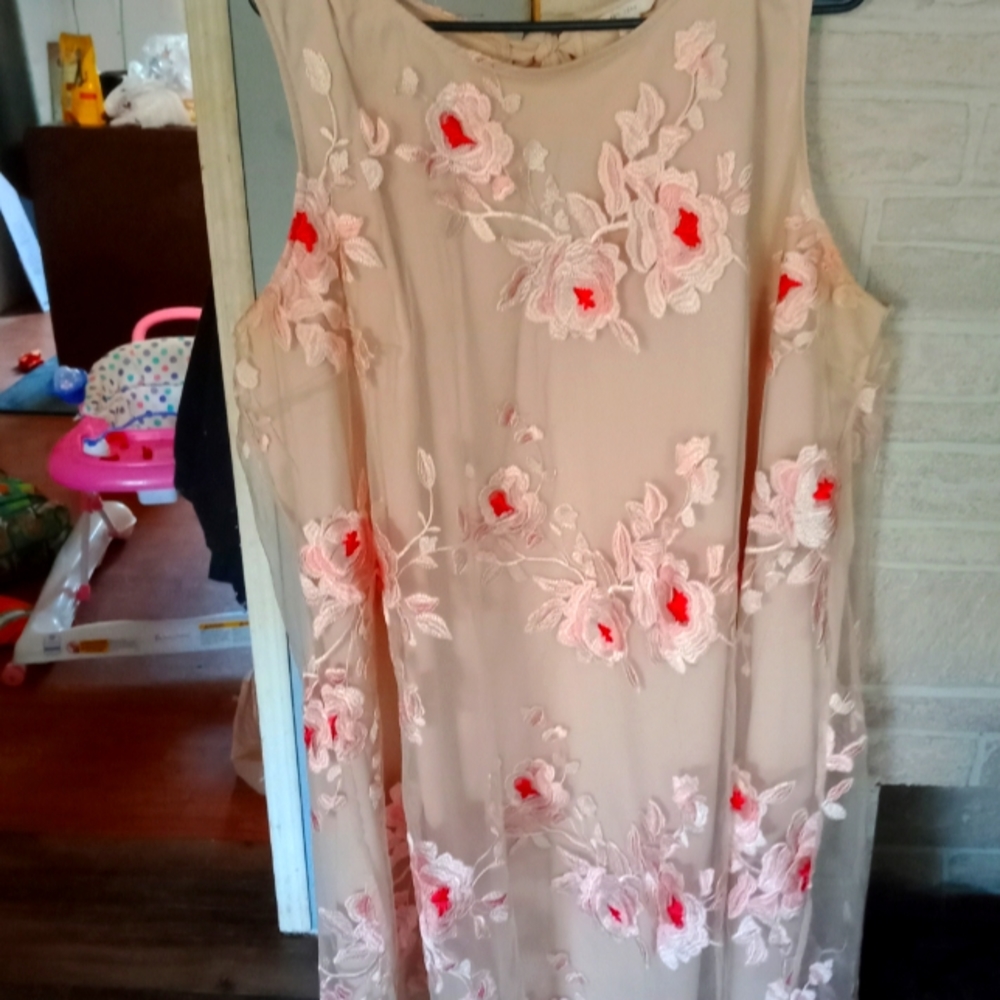 A peach colored embroidery rose dress.